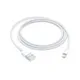 Cable de Carga Apple Lightning a USB-C 2mts para Iphone